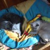 Belle and Friend